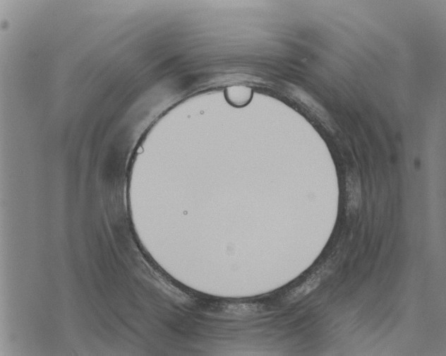 X0000073701322200608311720