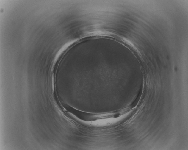 X0000073701323200608311720