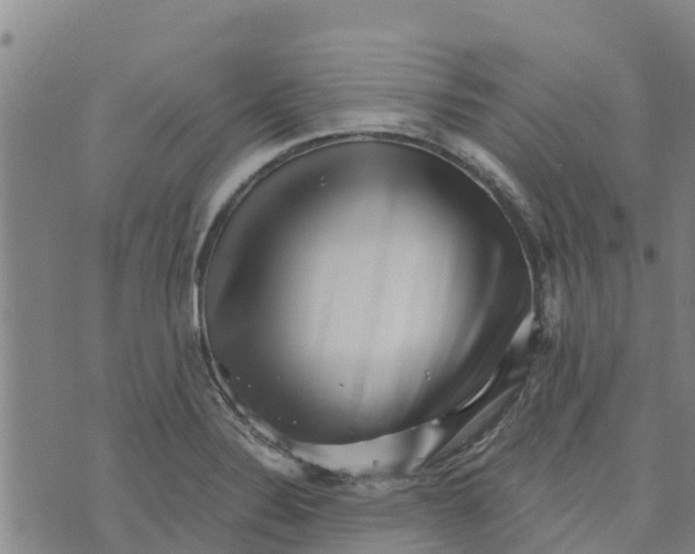 X0000073701324200608311720