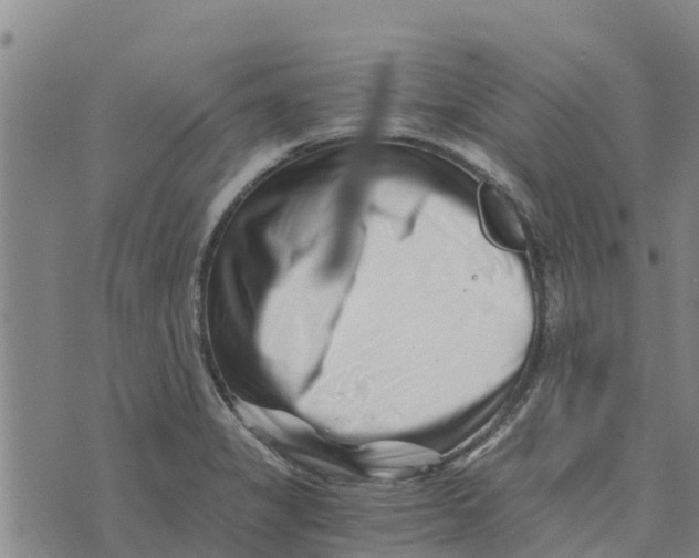 X0000073701325200608311720