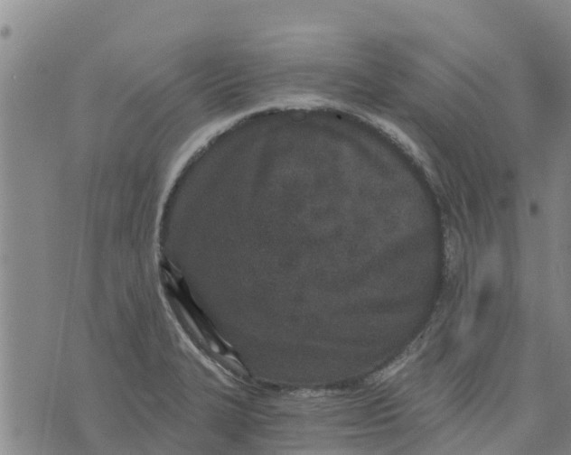 X0000073701327200608311720