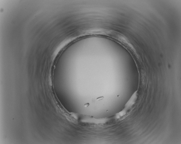 X0000073701328200608311720