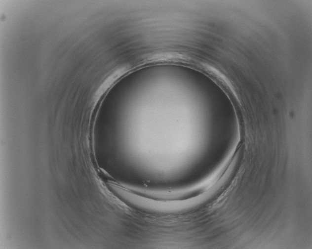 X0000073701330200608311720