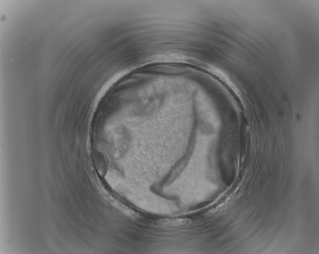 X0000073701331200608311720