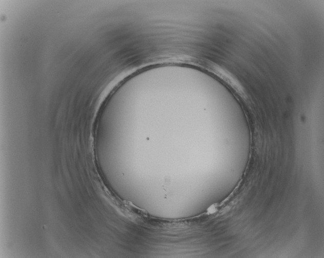 X0000073701332200608311720