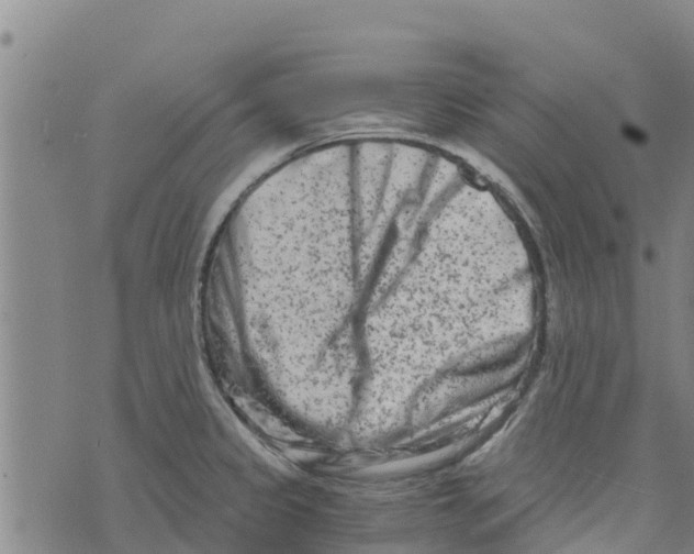 X0000073701333200608311720