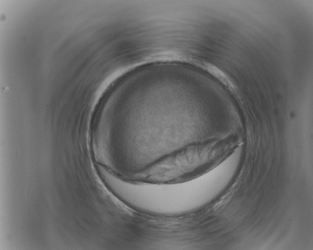 X0000073701334200608311720