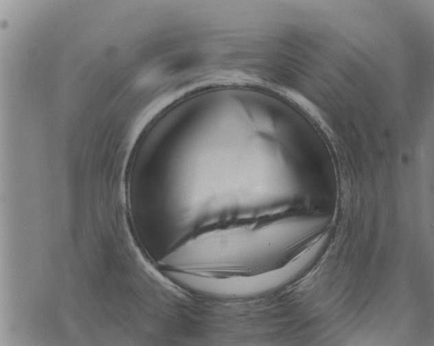 X0000073701335200608311720