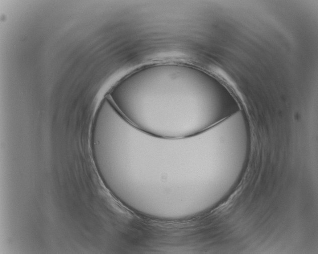 X0000073701336200608311720