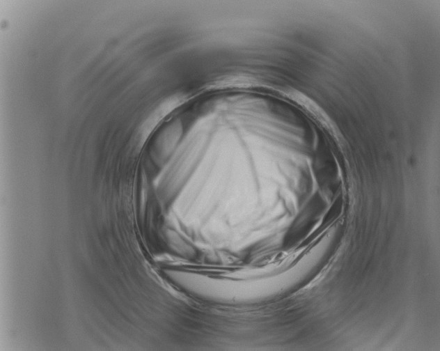 X0000073701337200608311720