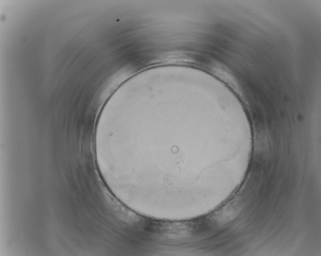 X0000073701338200608311720