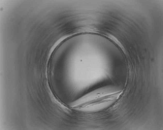 X0000073701339200608311720