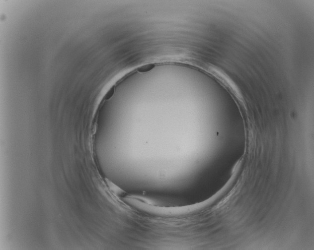 X0000073701340200608311720