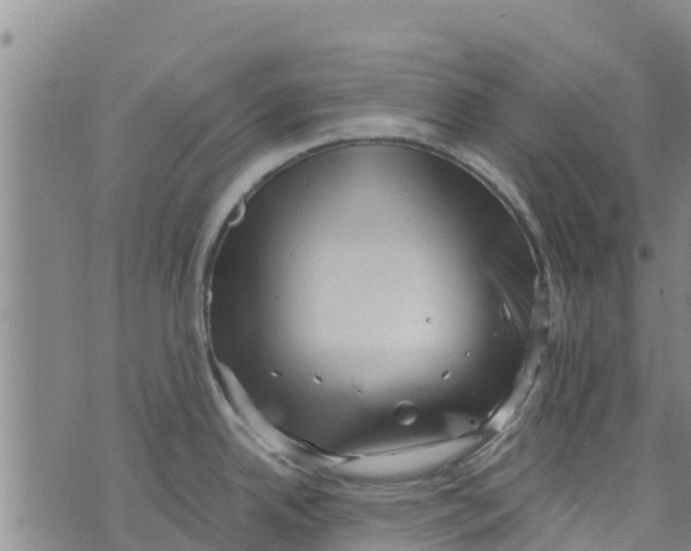 X0000073701342200608311720