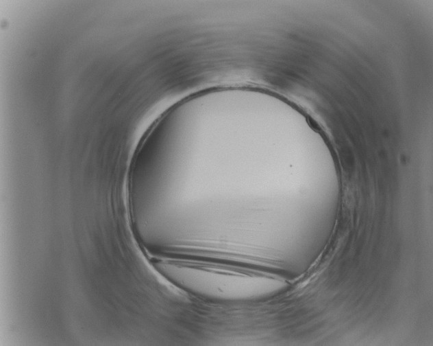 X0000073701343200608311720