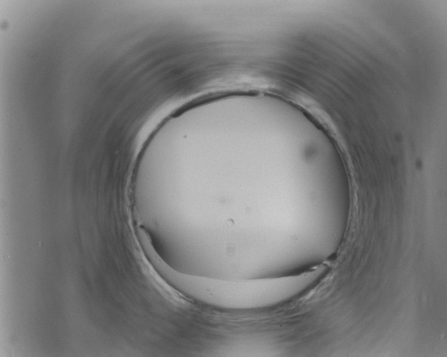 X0000073701344200608311720