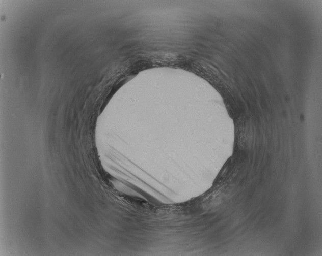 X0000073701345200608311719