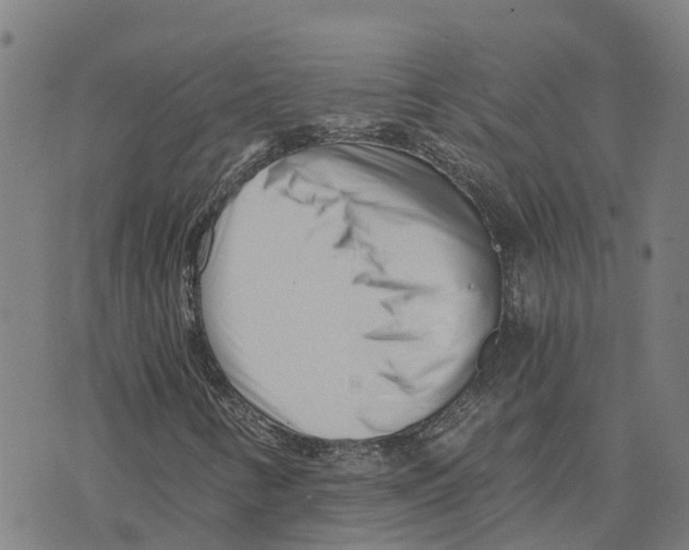 X0000073701346200608311719