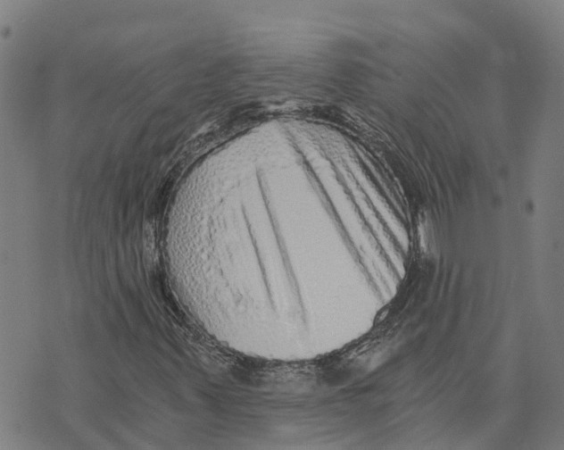 X0000073701347200608311719