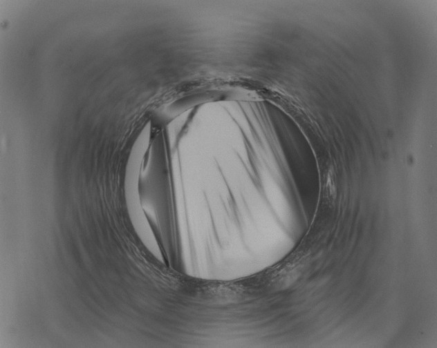 X0000073701348200608311719