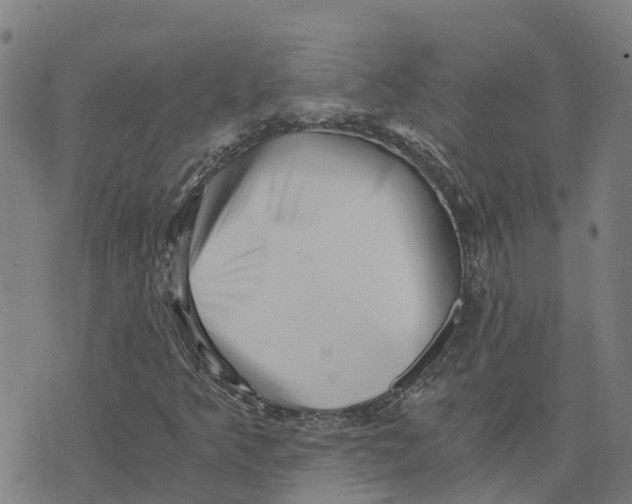 X0000073701349200608311719