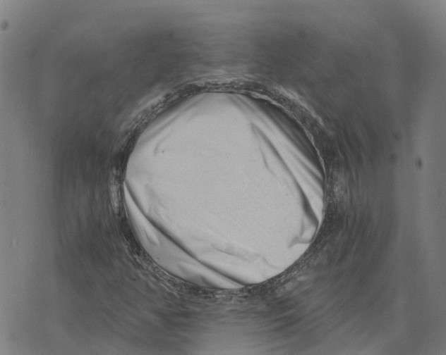 X0000073701350200608311719