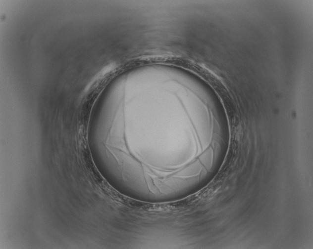 X0000073701351200608311719