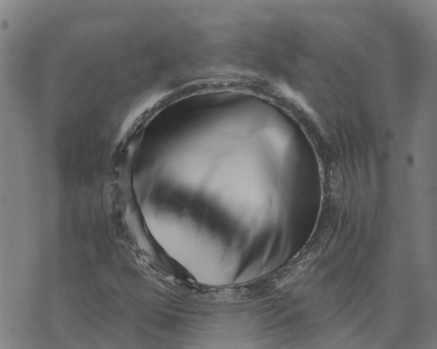 X0000073701352200608311719