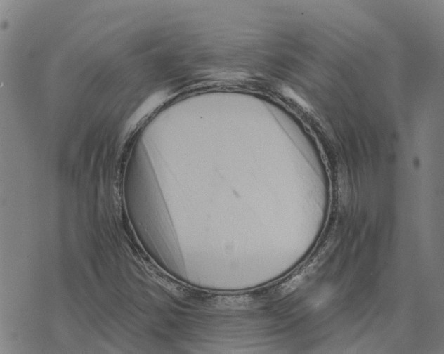 X0000073701354200608311719