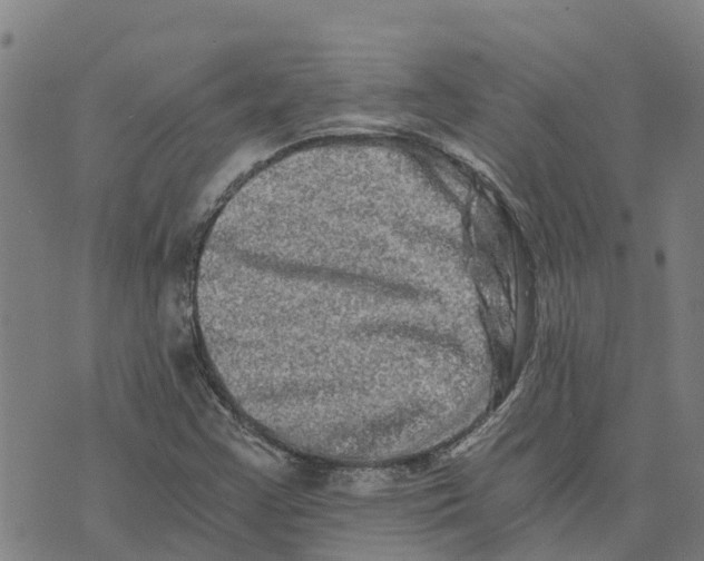 X0000073701355200608311719