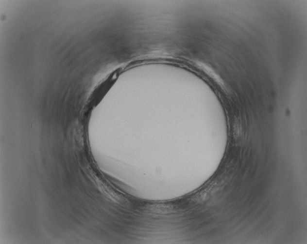 X0000073701356200608311719