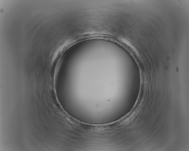 X0000073701357200608311719