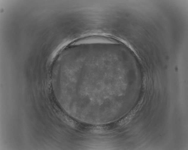 X0000073701359200608311719