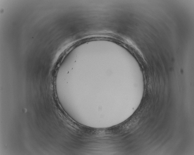 X0000073701360200608311719