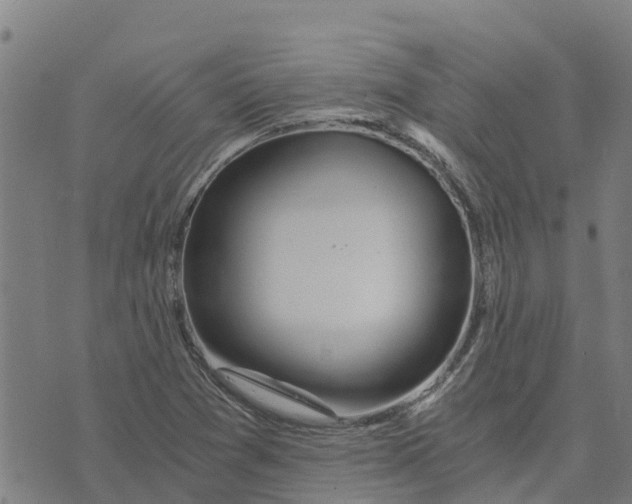 X0000073701361200608311719