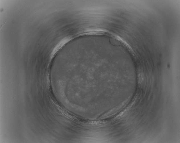 X0000073701362200608311719