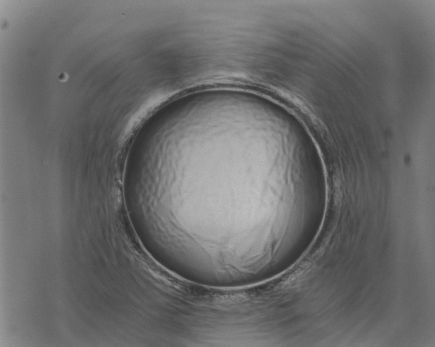 X0000073701363200608311719