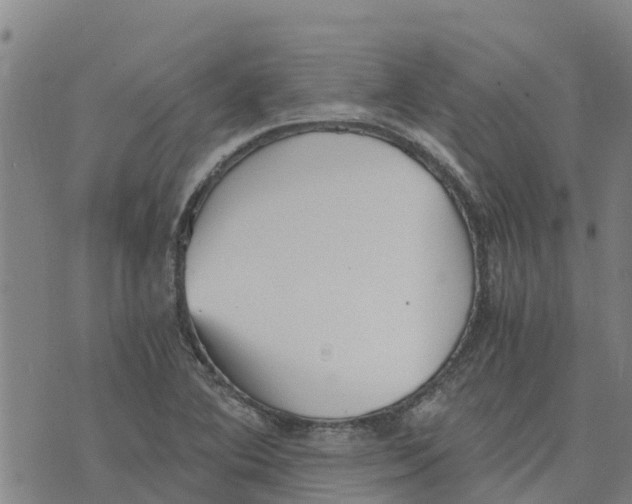 X0000073701364200608311719