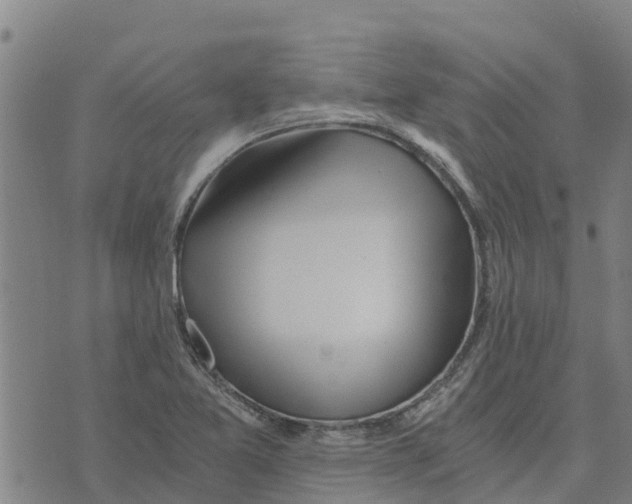 X0000073701365200608311719