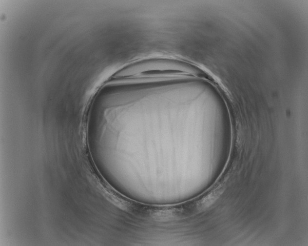 X0000073701367200608311719