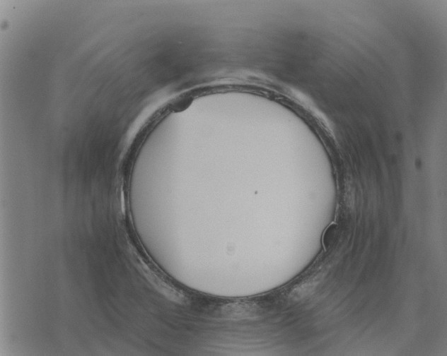 X0000073701368200608311719