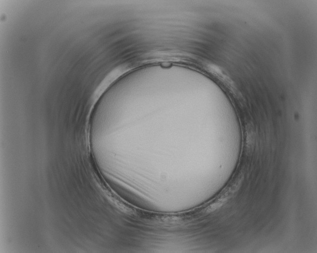 X0000073701370200608311719