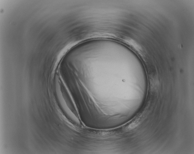 X0000073701371200608311719