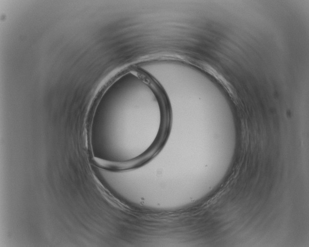 X0000073701372200608311719