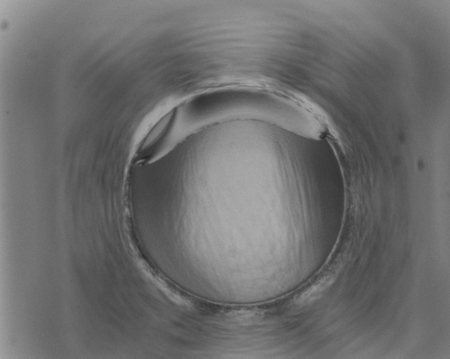 X0000073701373200608311719