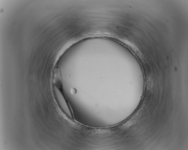 X0000073701374200608311719