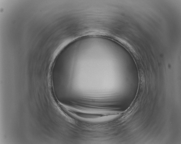 X0000073701375200608311719