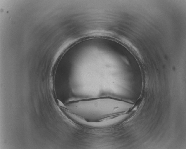 X0000073701376200608311719