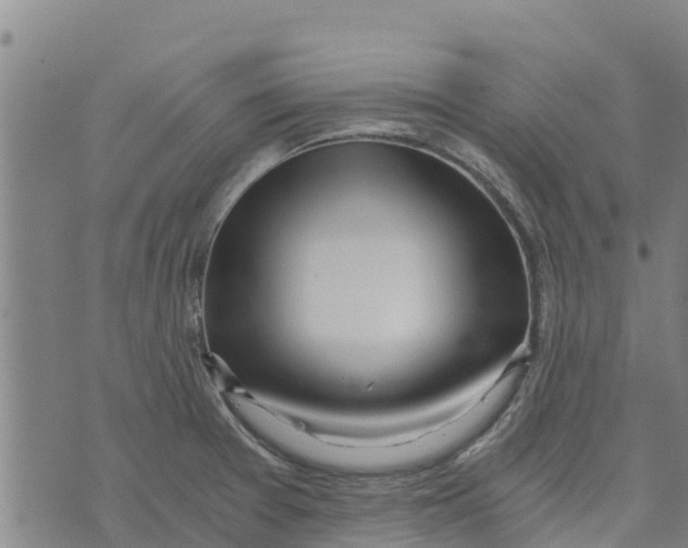 X0000073701377200608311719