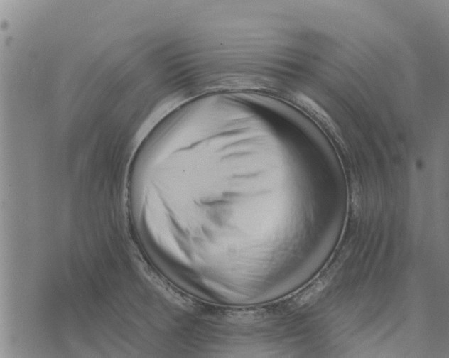 X0000073701378200608311719